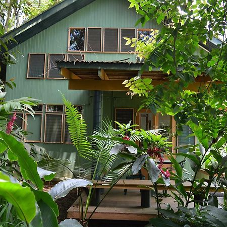 Rainforest Eco Lodge Suva Dış mekan fotoğraf