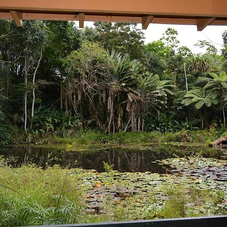 Rainforest Eco Lodge Suva Dış mekan fotoğraf