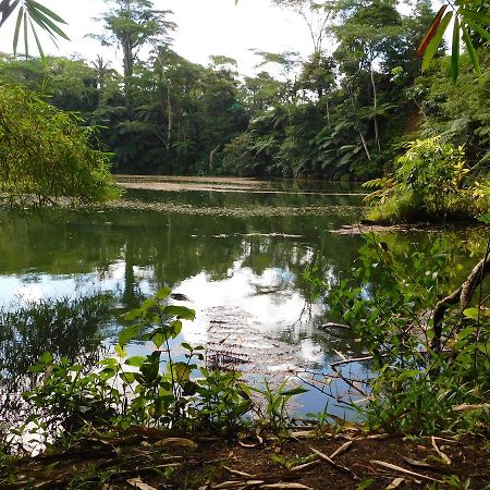 Rainforest Eco Lodge Suva Dış mekan fotoğraf