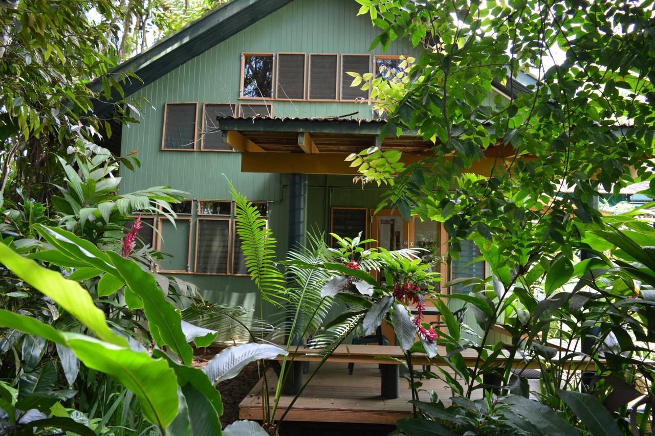 Rainforest Eco Lodge Suva Dış mekan fotoğraf