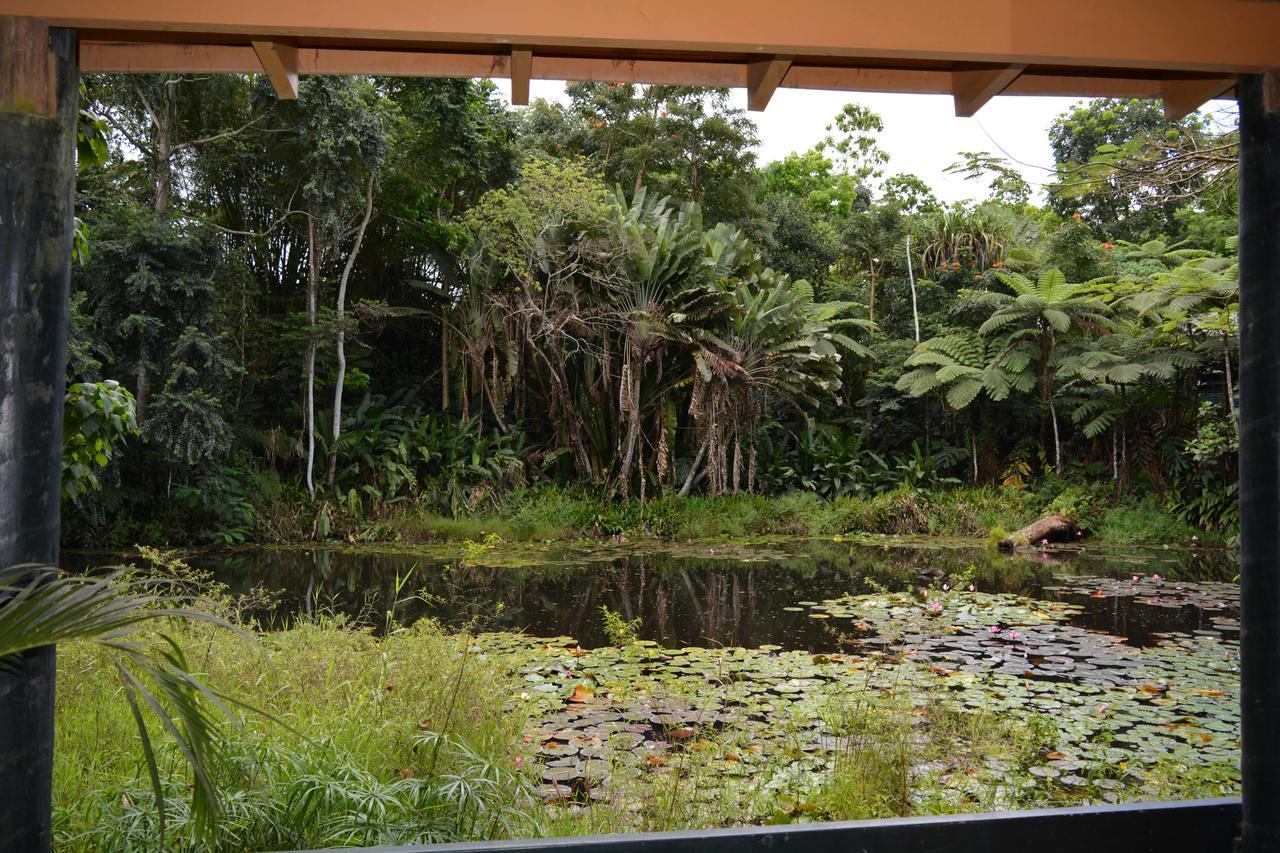 Rainforest Eco Lodge Suva Dış mekan fotoğraf