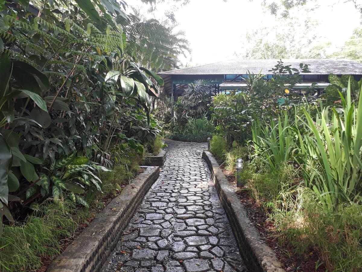 Rainforest Eco Lodge Suva Dış mekan fotoğraf