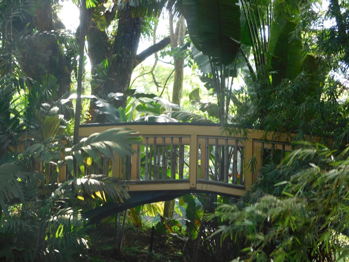 Rainforest Eco Lodge Suva Dış mekan fotoğraf