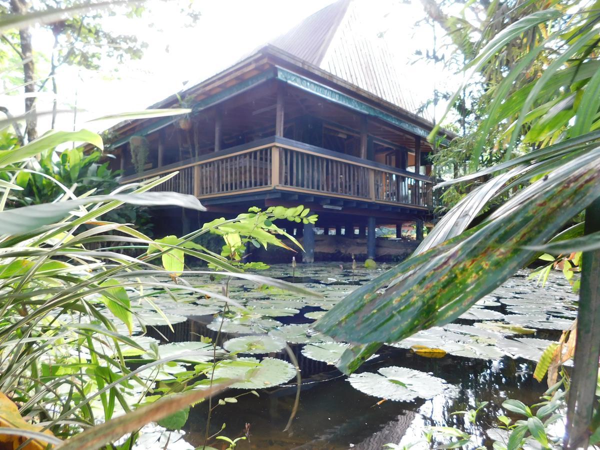 Rainforest Eco Lodge Suva Dış mekan fotoğraf