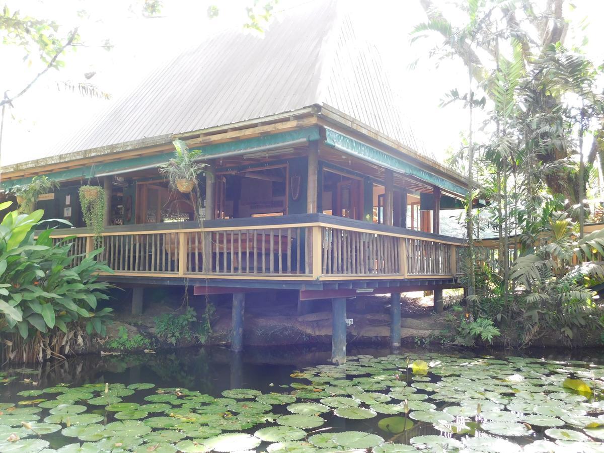 Rainforest Eco Lodge Suva Dış mekan fotoğraf