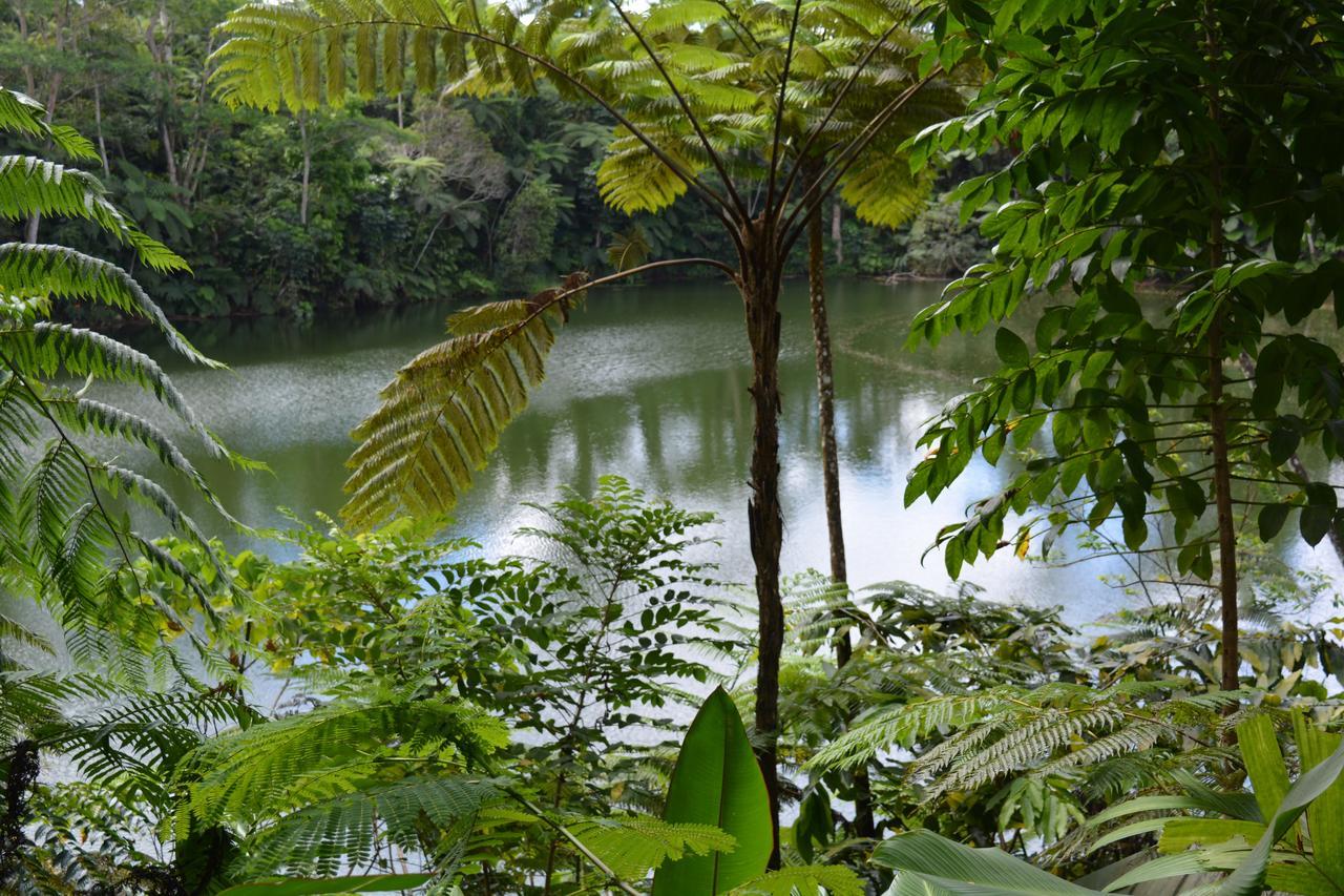 Rainforest Eco Lodge Suva Dış mekan fotoğraf