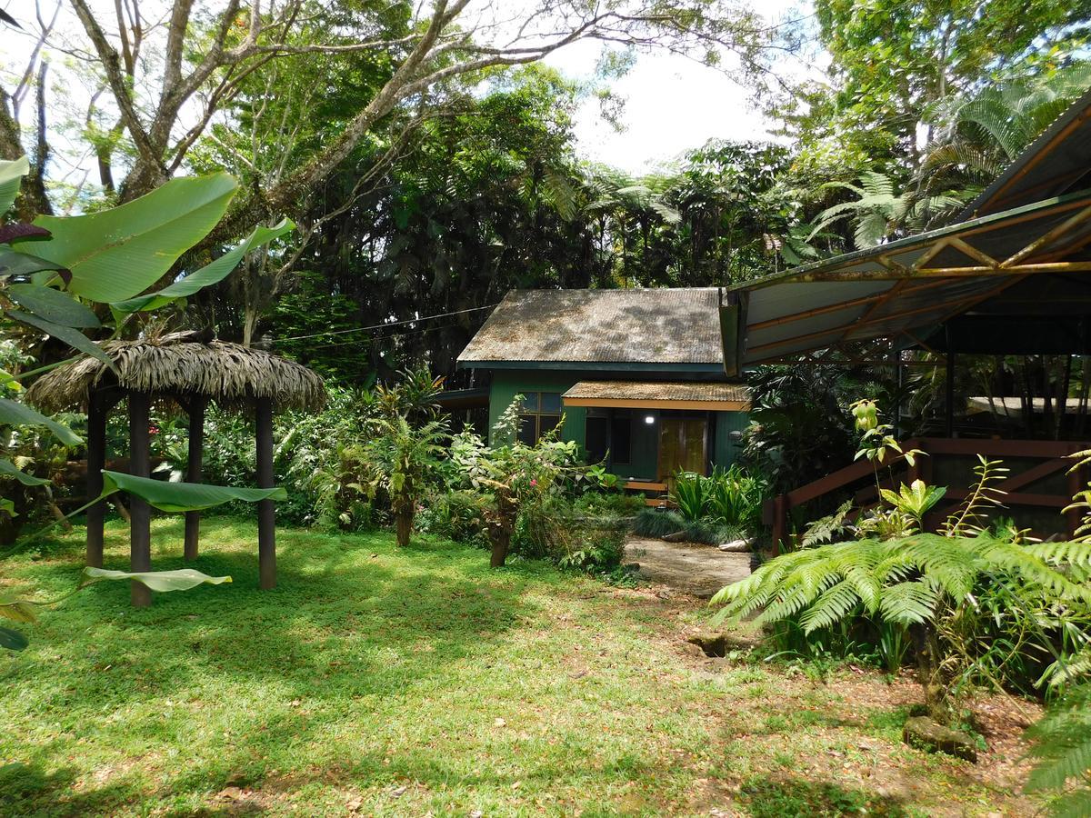 Rainforest Eco Lodge Suva Dış mekan fotoğraf