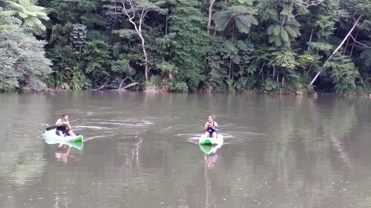 Rainforest Eco Lodge Suva Dış mekan fotoğraf