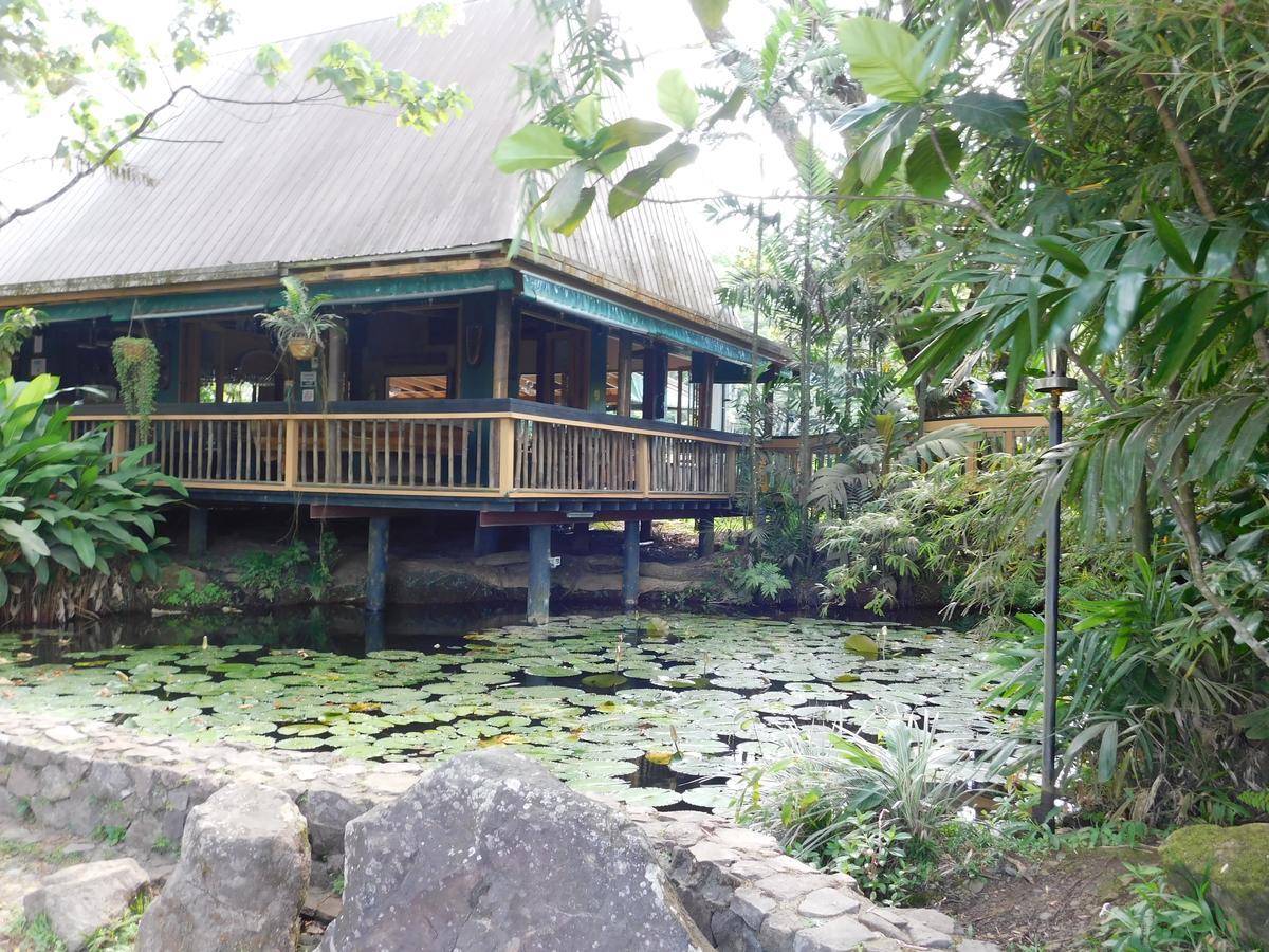 Rainforest Eco Lodge Suva Dış mekan fotoğraf