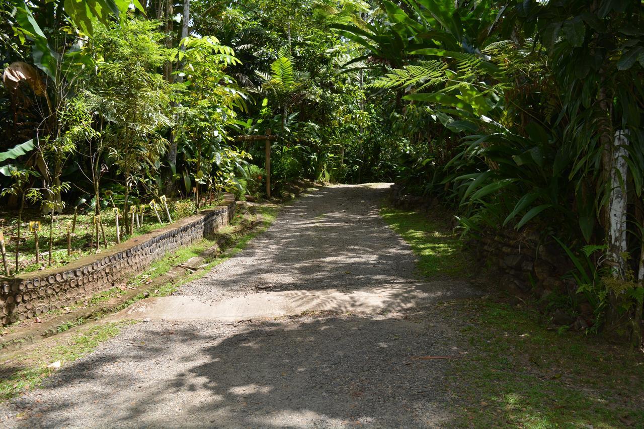 Rainforest Eco Lodge Suva Dış mekan fotoğraf