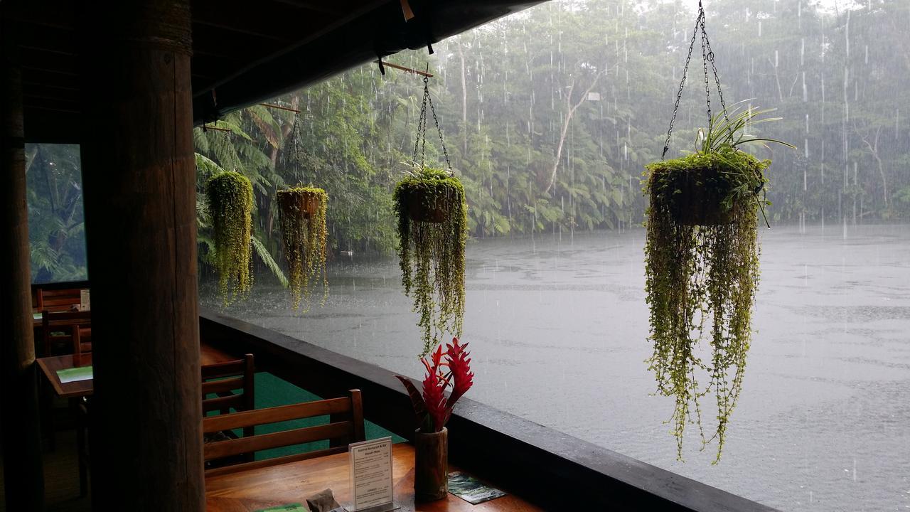 Rainforest Eco Lodge Suva Dış mekan fotoğraf