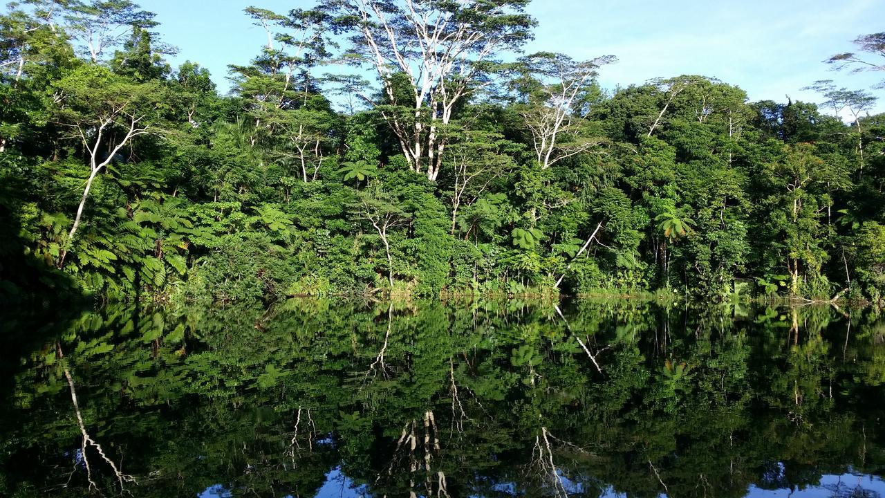 Rainforest Eco Lodge Suva Dış mekan fotoğraf