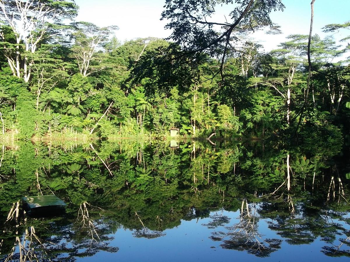 Rainforest Eco Lodge Suva Dış mekan fotoğraf