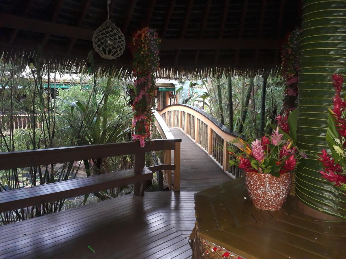 Rainforest Eco Lodge Suva Dış mekan fotoğraf