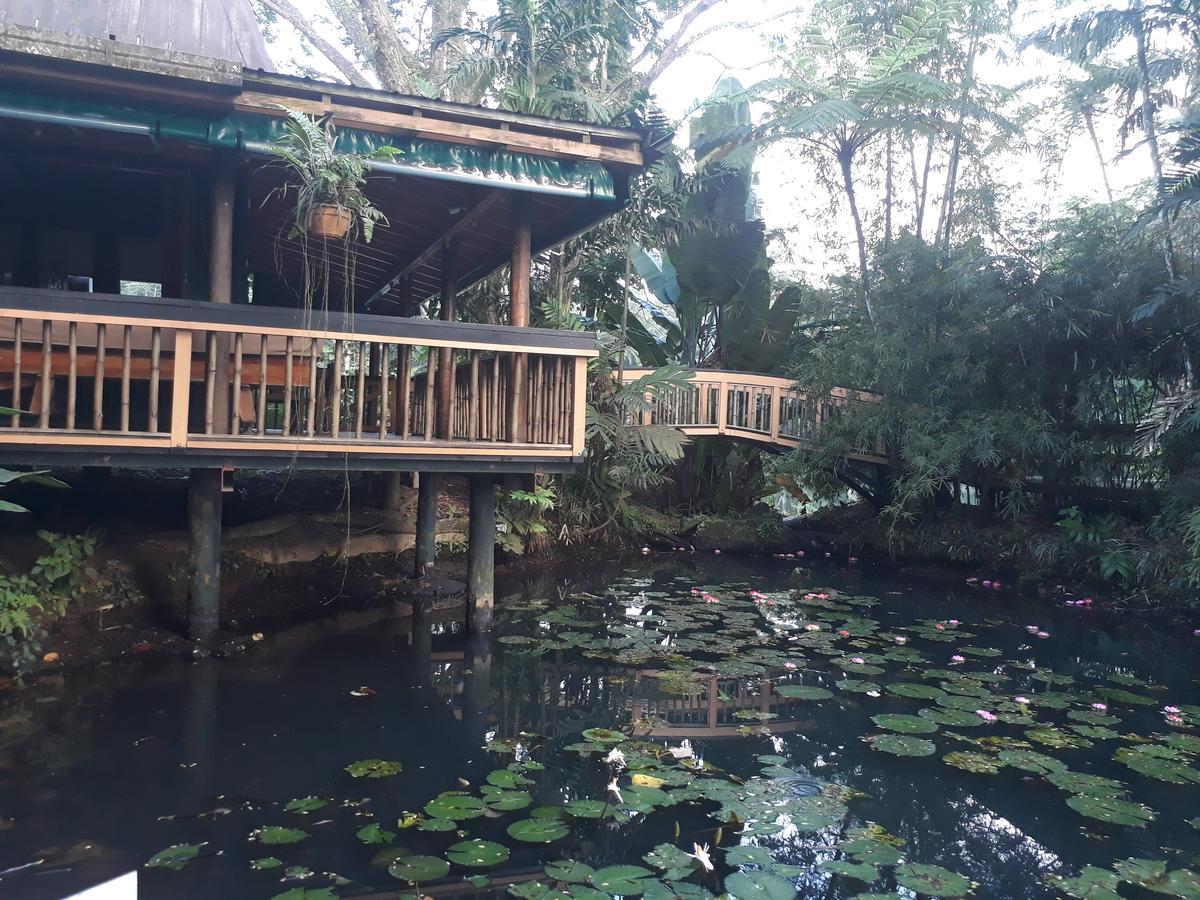 Rainforest Eco Lodge Suva Dış mekan fotoğraf