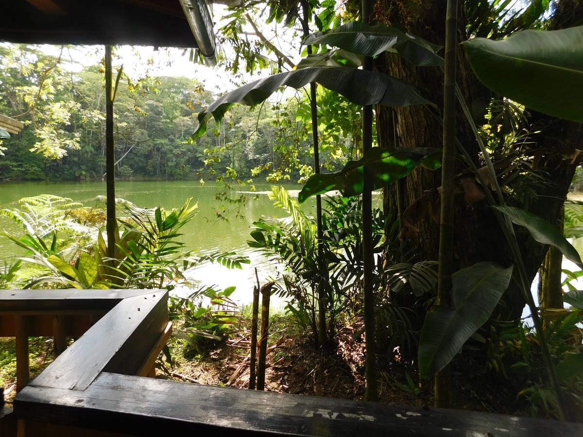 Rainforest Eco Lodge Suva Dış mekan fotoğraf