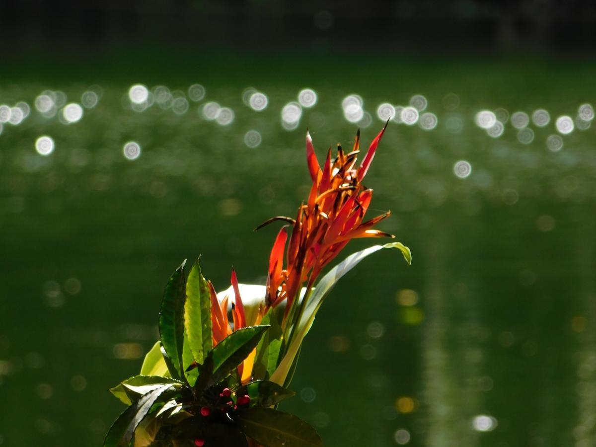 Rainforest Eco Lodge Suva Dış mekan fotoğraf