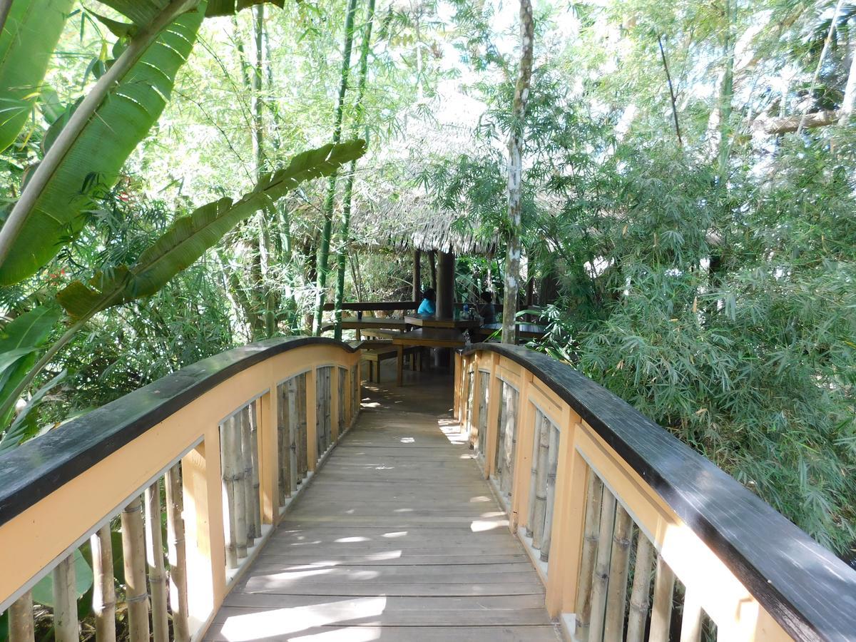 Rainforest Eco Lodge Suva Dış mekan fotoğraf