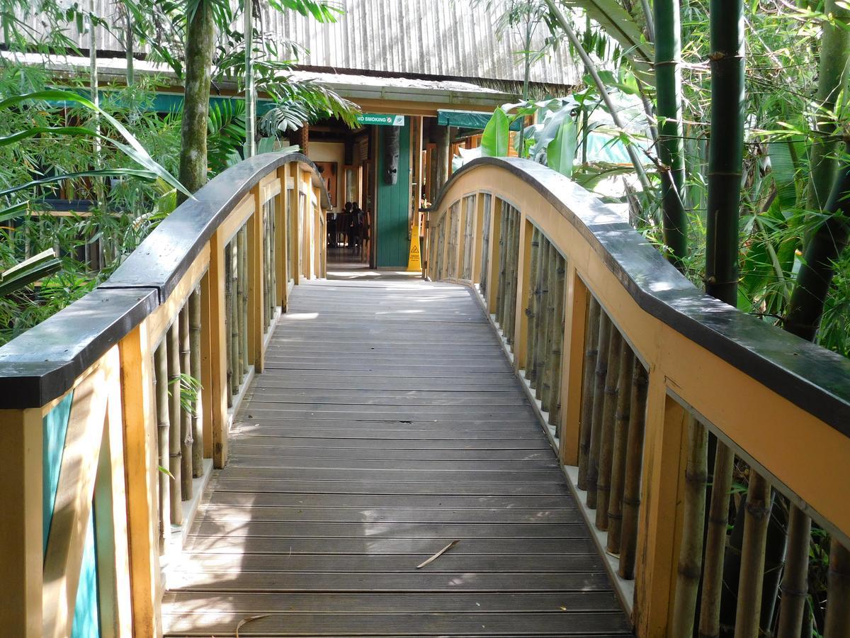 Rainforest Eco Lodge Suva Dış mekan fotoğraf