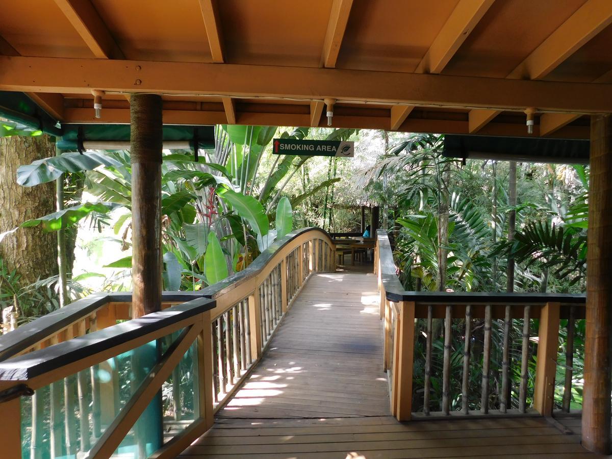 Rainforest Eco Lodge Suva Dış mekan fotoğraf